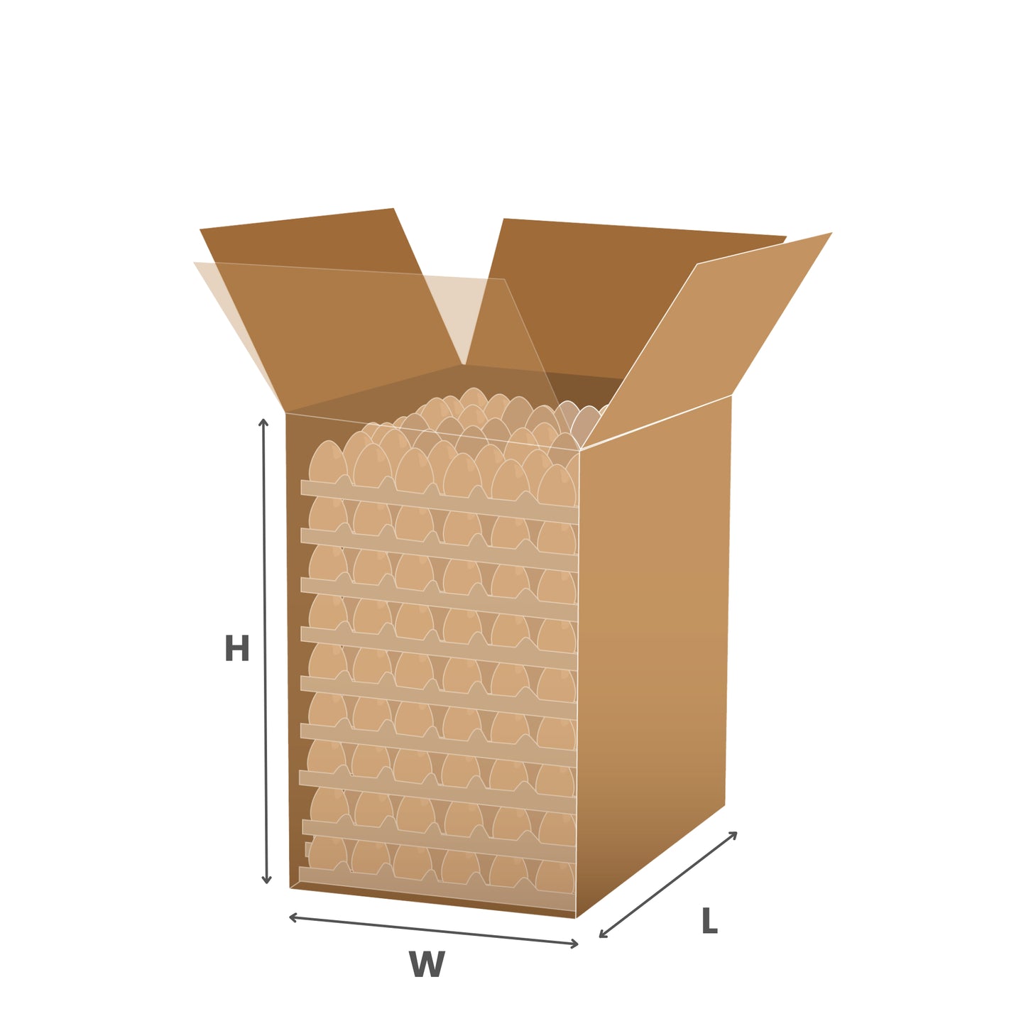 OUTER BOX FOR EGG TRAYS - 300x300x317